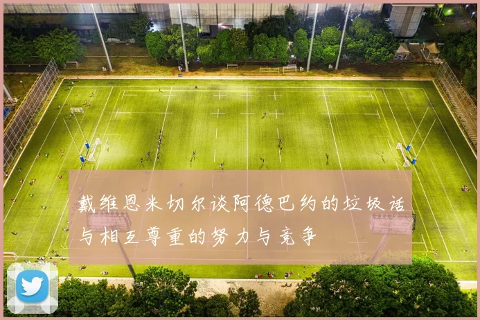 戴维恩米切尔谈阿德巴约的垃圾话与相互尊重的努力与竞争