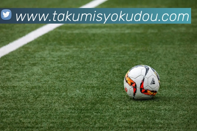 星空入口官方网站平台生态图